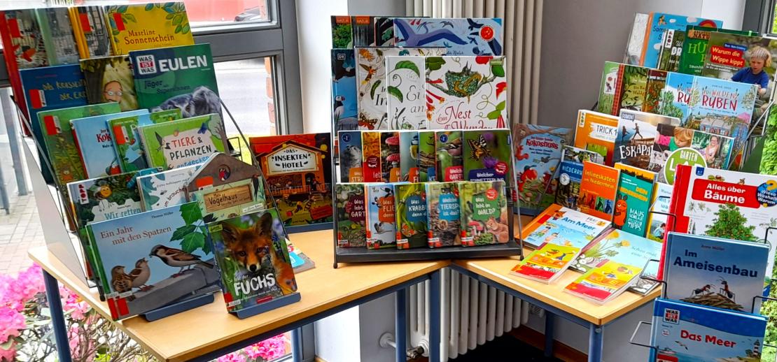 Naturwissen für und mit Kinder(n) (c) privat